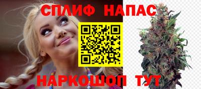 мдпв Обнинск